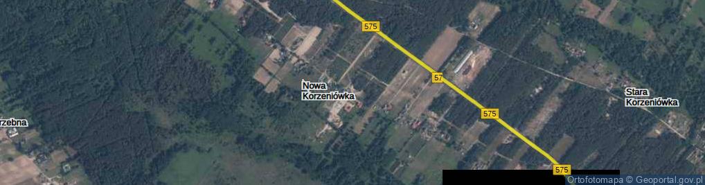 Zdjęcie satelitarne Nowa Korzeniówka ul.
